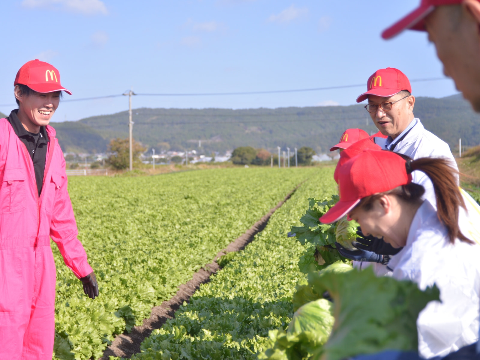 名峰や軽石、温泉の地熱……好条件がそろう冬レタスの王国 | Smile Story | McDonald's Japan